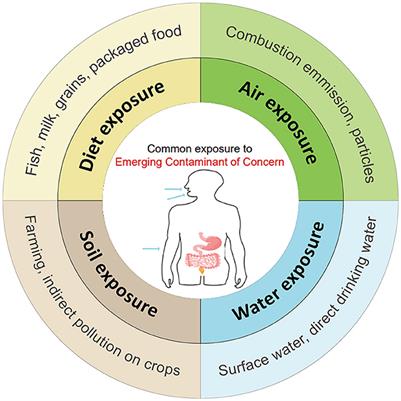 Adverse health effects of emerging contaminants on inflammatory bowel disease